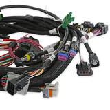 Holley EFI Universal MPFI Coil On Plug Main Harness