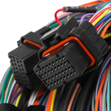 Holley EFI Unterminated 15' Flying Lead Main Harness