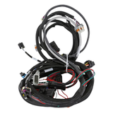 Holley EFI LS1/6 (24x/1x) Engine Main Harness