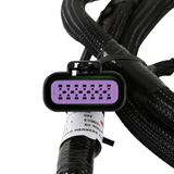 Holley EFI GM GEN V GDI Sub Harness For Late LTx Engines