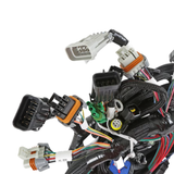 Holley EFI Ford 2V and 4V Modular Main Harness