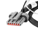 Holley EFI Ford TFI Ignition Harness