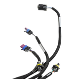 Holley EFI LS1/6 (24x/1x) Engine Main Harness - Extended Length