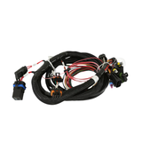 Holley EFI Terminator Main Harness