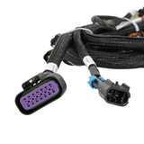 Holley EFI Ford Coyote 13-17 Ti-VCT Sub Harness