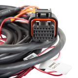 Holley EFI Dominator EFI GM Dual Drive-By-Wire Harness