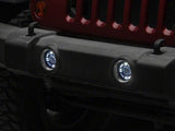 Photo - Close Up