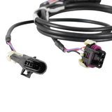 Holley EFI Crank/Cam Ign. Harness Fully terminated harness