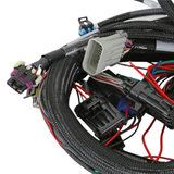 Holley EFI LS1/6 (24x/1x) Engine Main Harness