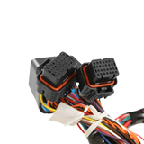 Holley EFI Ford 7.3L Godzilla Main Harness for Stock Coils