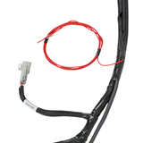 Holley EFI LS2/3/7+ (58x/4x) Engine Main Harness - Extended Length