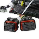 Holley EFI Universal MPFI Coil On Plug Main Harness