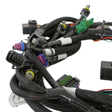 Holley EFI Universal MPFI Main Harness