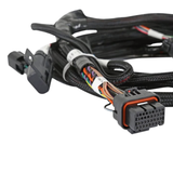 olley EFI Ford Coyote 11-12 Ti-VCT Sub Harness