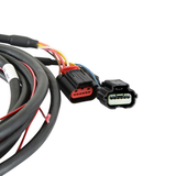 Holley EFI Ford Coyote 11-17 Drive-By-Wire Harness