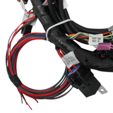 Holley EFI Ford Coyote 11-17 Engine Main Harness w/ Ti-VCT and Stock Coils