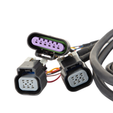 Holley EFI Dominator EFI GM Dual Drive-By-Wire Harness