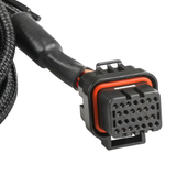 Holley EFI Ford AODE/4R70W 92-97 Transmission Control Harness