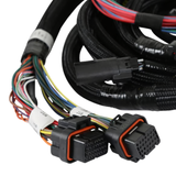 Holley EFI Ford 2V and 4V Modular Main Harness