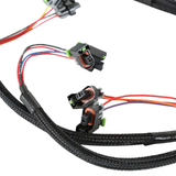 Holley EFI LS MULTEC 2 Injector Harness - Early Truck