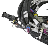 Holley EFI LS2/3/7+ (58x/4x) Engine Main Harness