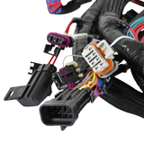 Holley EFI Main Engine Harness for 24x LS w/ TBI