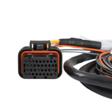 Holley EFI Dominator Connector J2A Auxiliary Harness
