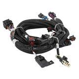 Holley EFI Ford Coyote 13-17 Ti-VCT Sub Harness