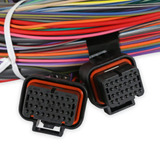 Holley EFI Unterminated Universal Main Harness