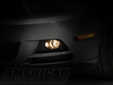 Photo - Close Up