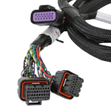 Holley EFI GM GEN V GDI Sub Harness For Late LTx Engines