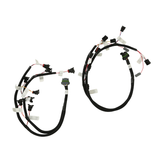 Holley EFI Ford Modular 2 Valve Harness Kit