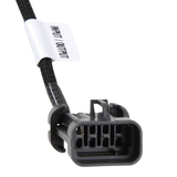 Holley EFI GEN III HEMI VVT Harness