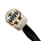 4R70W/4R75W 98+ TRANS HARNESS