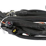 olley EFI Ford Coyote 11-12 Ti-VCT Sub Harness