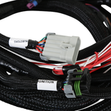 Holley EFI Ford Foxbody 5.0L Main Harness