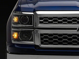 Photo - Close Up