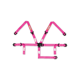 Youth Latch & Link 5 Point Racing Harness Set (2")