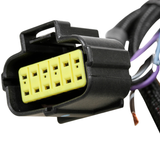 Holley EFI Ford 4R70W/4R75W 98+ Transmission Control Harness