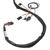 Holley EFI LS2/3/7+ (58x/4x) Engine Main Harness - Extended Length
