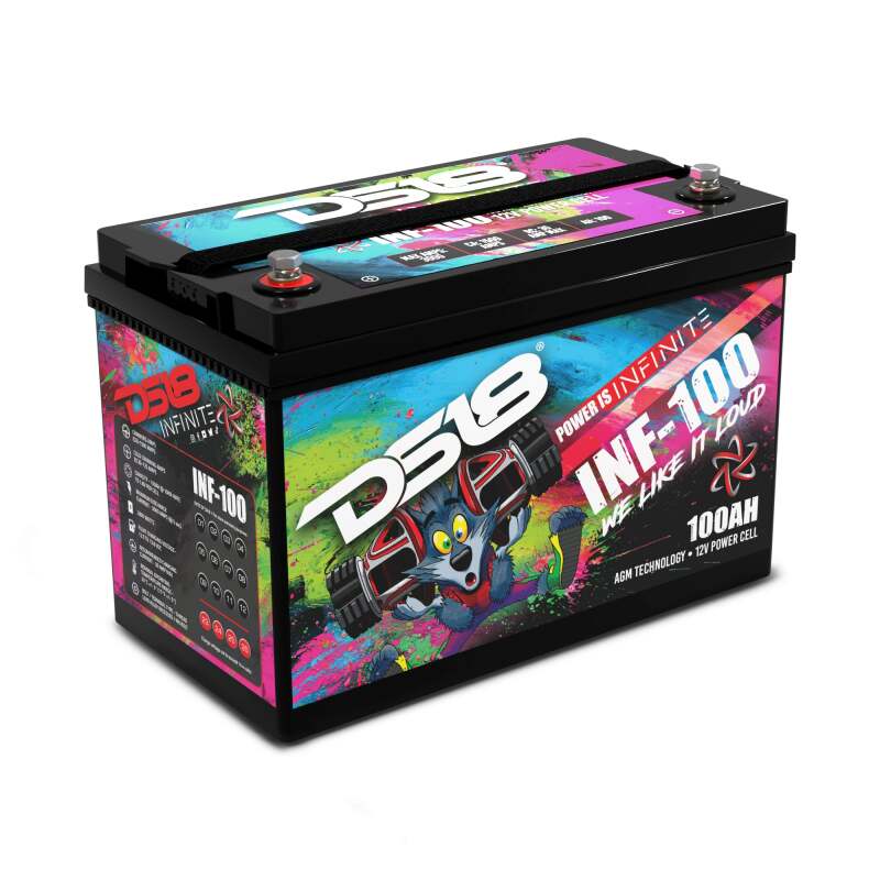 DS18 2800 Watts 100 AH Infinite AGM Power Cell Battery – Burton-Racing