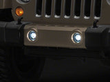 Photo - Close Up
