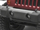 Photo - Close Up