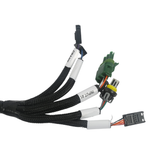 Holley EFI Benchtop Harness