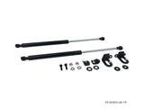 Toyota Sienna 10-17 Black Series Engine Hood Damper