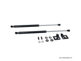 Subaru WRX / STI (GDA/GDB) 02-07 Carbon Hood Damper