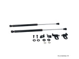 Nissan R35 GTR Carbon Engine Hood Damper