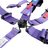 Seat Belt Harness Cam Lock w/ Pads - SFI 16.1