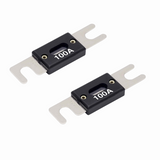 Nickel Plated 100 Amp ANL Fuses V8 Series - 2 Pack