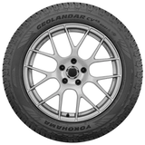 Photo - Close Up